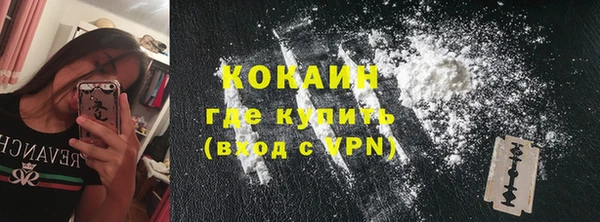 трава Новодвинск