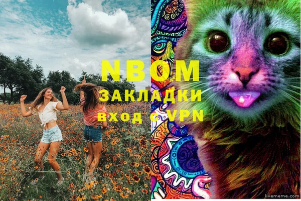 хмурый Новокубанск