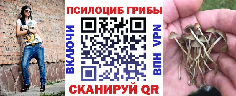 Псилоцибиновые грибы Psilocybine cubensis  Купить  Кубинка 